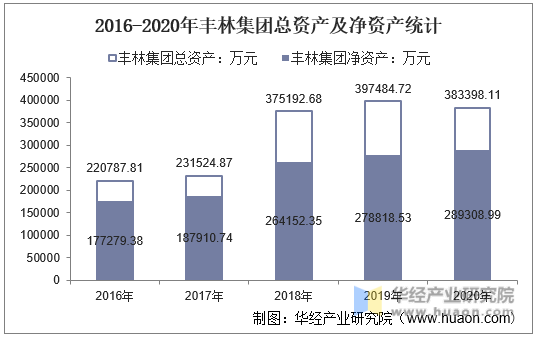 2016-2020年丰林集团总资产及净资产统计