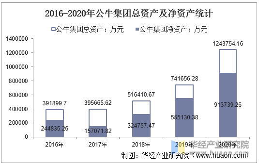 2016-2020年公牛集团总资产及净资产统计