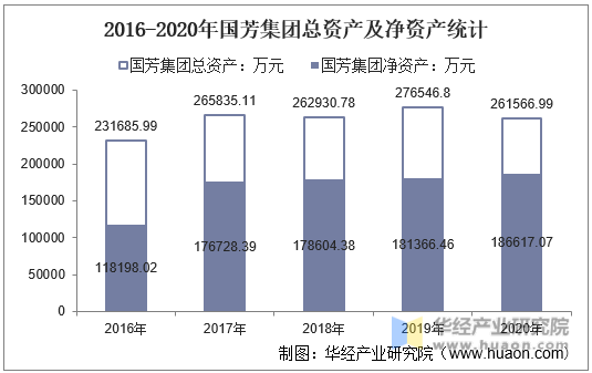 2016-2020年国芳集团总资产及净资产统计