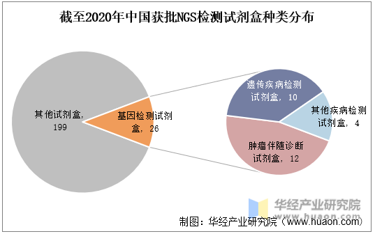 截至2020年中国获批NGS检测试剂盒种类分布