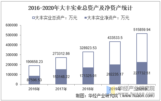 2016-2020年大丰实业总资产及净资产统计