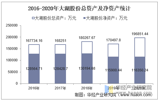 2016-2020年大湖股份总资产及净资产统计