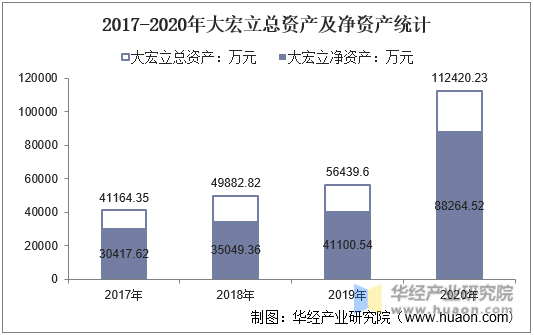 2017-2020年大宏立总资产及净资产统计