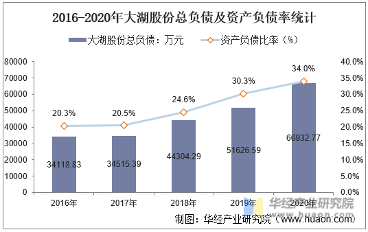 2016-2020年大湖股份总负债及资产负债率统计