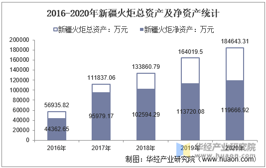 2016-2020年新疆火炬总资产及净资产统计