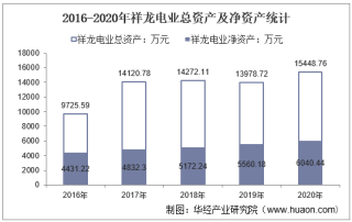 2016-2020年祥龙电业（600769）总资产、营业收入、营业成本、净利润及股本结构统计