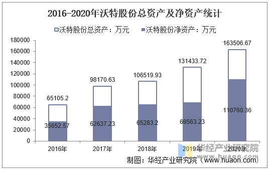 2016-2020年沃特股份总资产及净资产统计