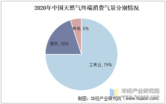 2020年中国天然气终端消费气量分别情况