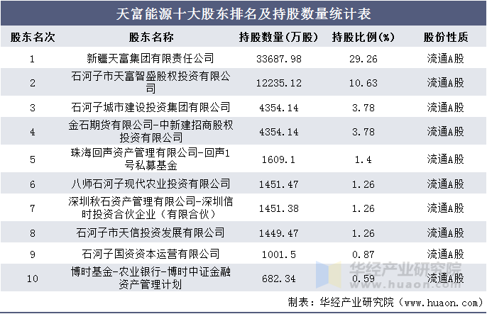 天富能源十大股东排名及持股数量统计表