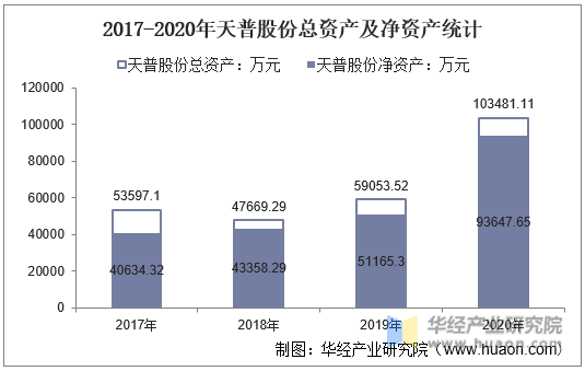 2017-2020年天普股份总资产及净资产统计
