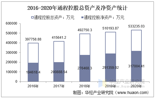 2016-2020年通程控股总资产及净资产统计