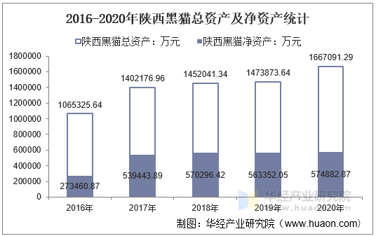 2016-2020年陕西黑猫总资产及净资产统计