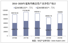 2016-2020年蓝海华腾（300484）总资产、总负债、营业收入、营业成本及净利润统计