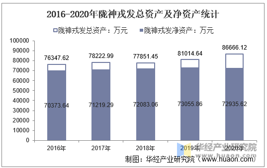 2016-2020年陇神戎发总资产及净资产统计