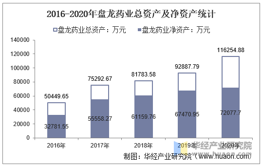 2016-2020年盘龙药业总资产及净资产统计