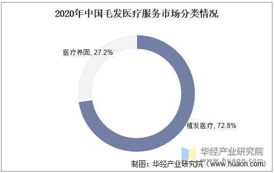 2020年中国毛发医疗服务市场分类情况