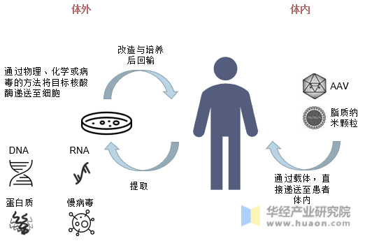 基因细胞治疗产品途径
