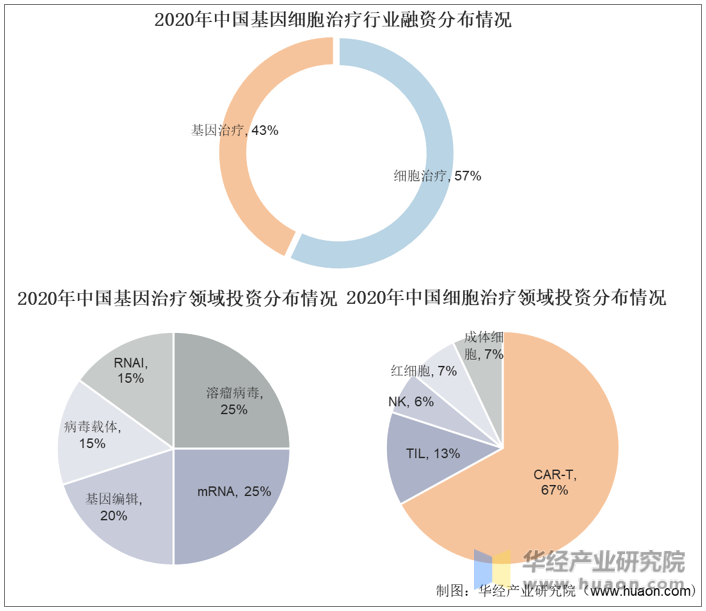 2020年中国基因细胞治疗行业融资分布情况
