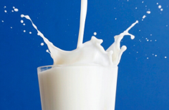 a2牛奶公司频传被收购 被全球食品巨头雀巢盯上了？