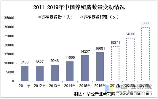 2011-2019年中国养殖麝数量变动情况