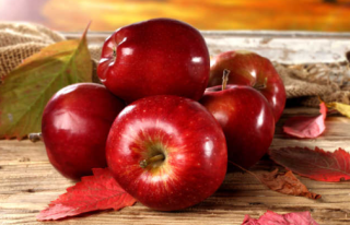 果园生草绿意浓全面推进延安的苹果质量上台阶，推动苹果产业高质量发展