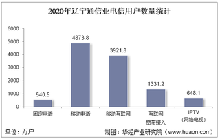 2020年辽宁通信业电信用户、电信业务及电信资产统计分析