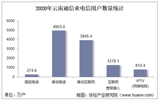 2020年云南通信业电信用户、电信业务及电信资产统计分析