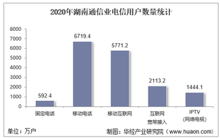 2020年湖南通信业电信用户、电信业务及电信资产统计分析