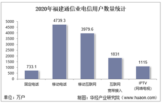 2020年福建通信业电信用户、电信业务及电信资产统计分析