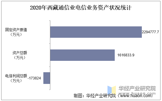 2020年西藏通信业电信业务资产状况统计