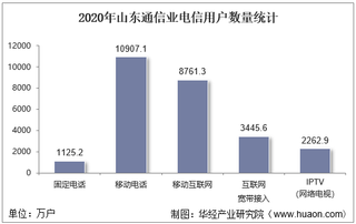 2020年山东通信业电信用户、电信业务及电信资产统计分析