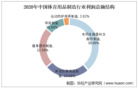 2020年中国体育用品制造行业利润总额结构