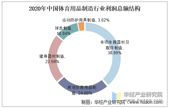 2020年中国体育用品制造行业利润总额结构