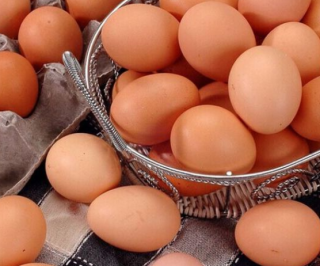 格润牧业2020年营收破3亿 专注品质让百姓吃上放心蛋