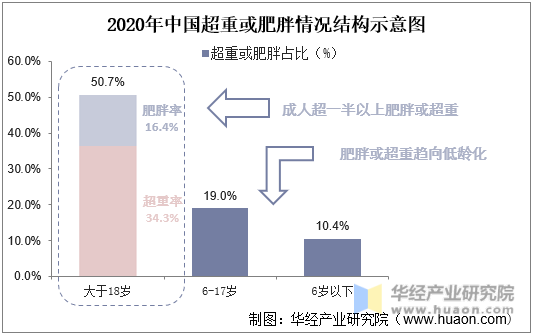 2020年中国超重或肥胖情况结构示意图