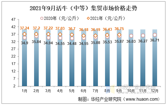 2021年9月活牛（中等）集贸市场价格走势