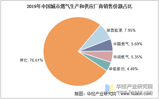 2019年中国城市燃气生产和供应厂商销售份额占比