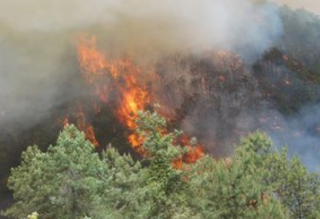2021年中国森林火灾发生数量统计情况，应加强防火安全管理「图」