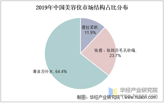 2019年中国美容仪市场结构占比分布