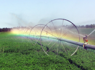 2020年中国节水灌溉行业发展趋势分析，主流灌溉方式仍为喷灌「图」