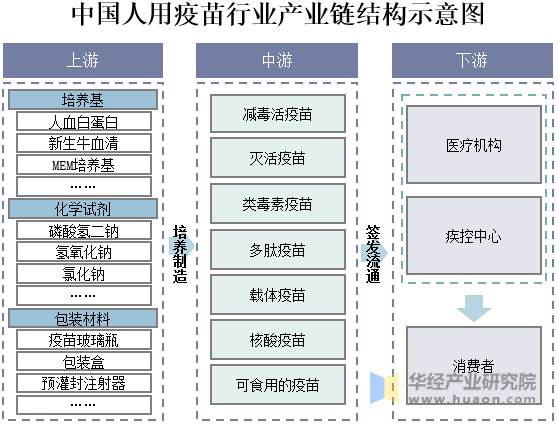 中国人用疫苗行业产业链结构示意图