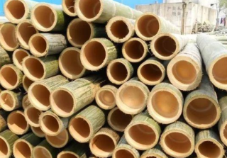 2020年中国竹材产业“十四五”发展规划分析，为碳达峰、碳中和贡献重要力量「图」