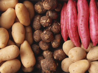 中国薯类播种面积、产量、进出口量分析，木薯干是主要的进口品种「图」