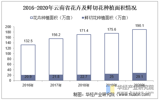 2016-2020年云南省花卉及鲜切花种植面积情况