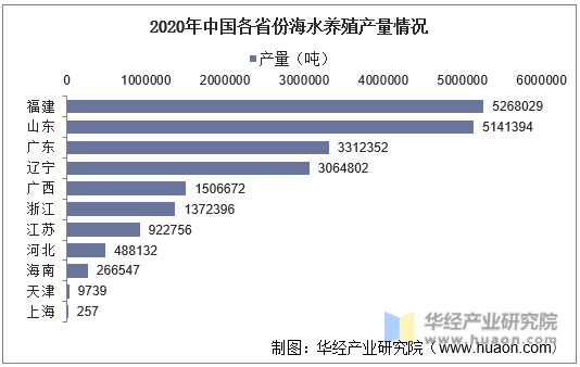 2020年中国各省份海水养殖产量情况