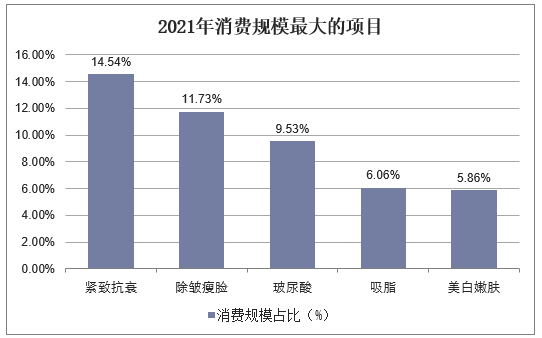 2021年消费规模最大的项目