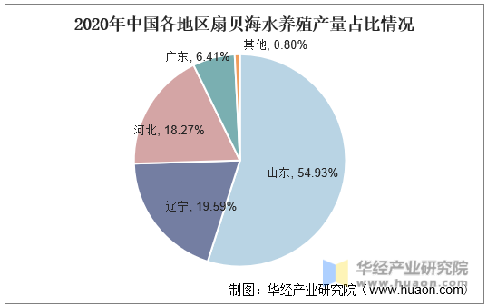 2020年中国各地区扇贝海水养殖产量占比情况
