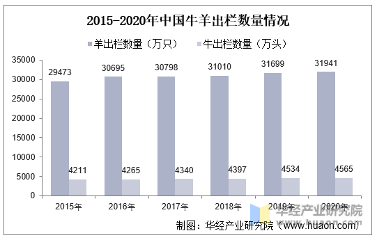 2015-2020年中国牛羊出栏数量情况