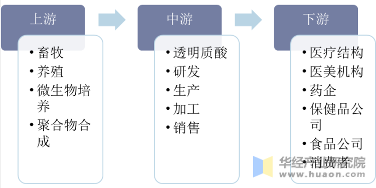 中国透明质酸行业产业链