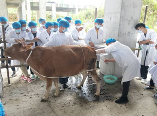 肉类产量继续保持，提升规模化养殖水平和养殖机械化率！畜牧兽医行业“十四五”规划印发，重点打造两个万亿级产业！